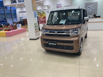 新しい展示車入りました